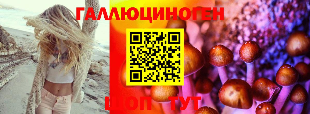 Галлюциногенные грибы Magic Shrooms Нижнекамск